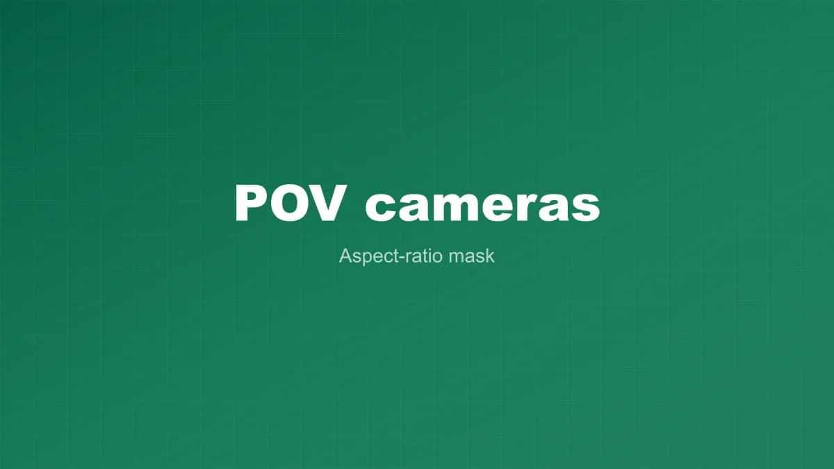 POV cameras